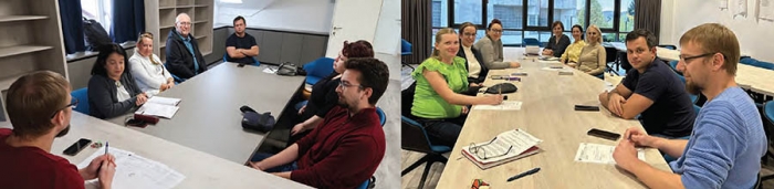 Konstituce rad Svazu Čechů